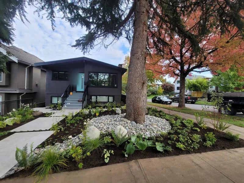 Newly planted front garden with a concrete slab walkway, river rock and ornamental grasses