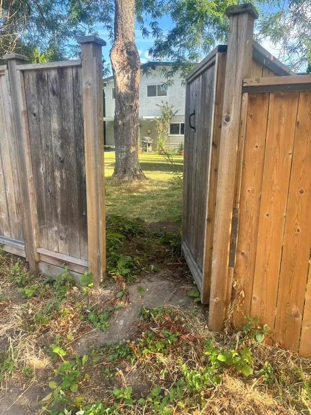 Side yard before: old gate and bare ground
