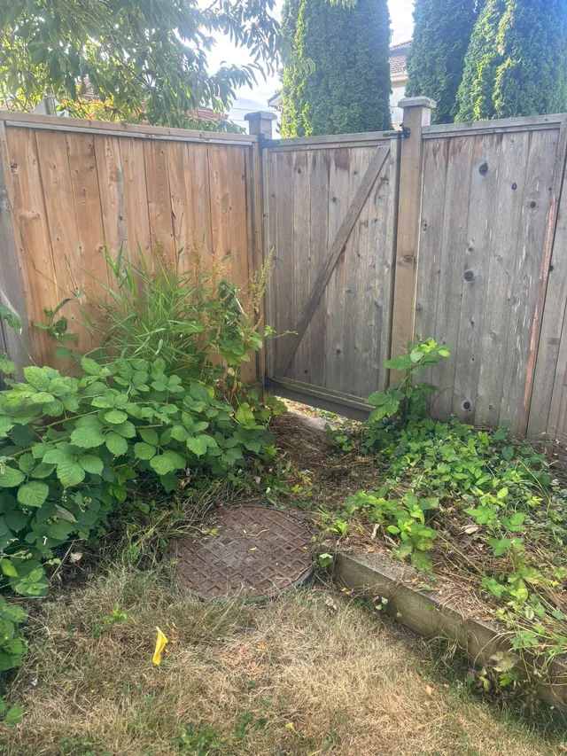 Side yard before: overgrown weeds at the gate