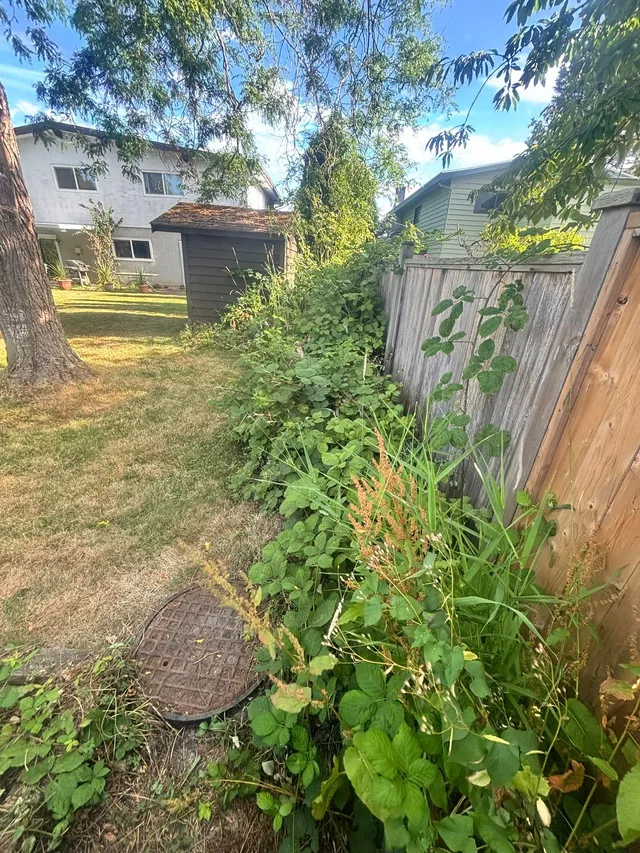 Side yard before: overgrown ground beside the house